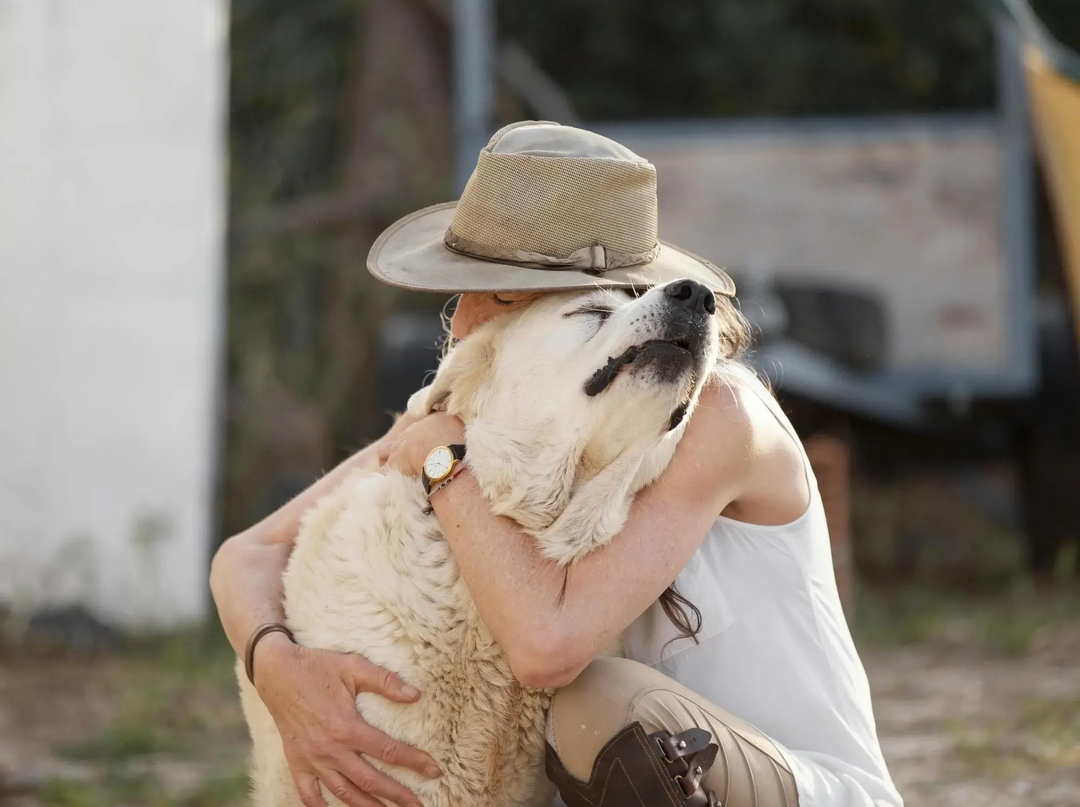 dame qui caline son chien | © Freepik dame qui caline son chien | © Freepik