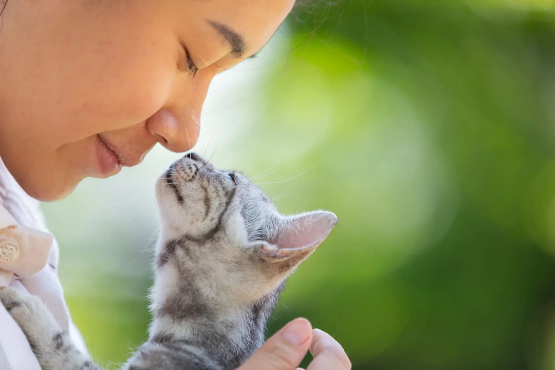femme nez à nez avec son chat | © Freepik femme nez à nez avec son chat | © Freepik