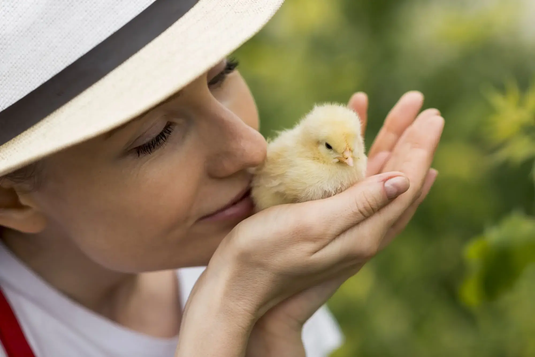 femme tenant un poussin dans ses mains | © Freepik femme tenant un poussin dans ses mains | © Freepik